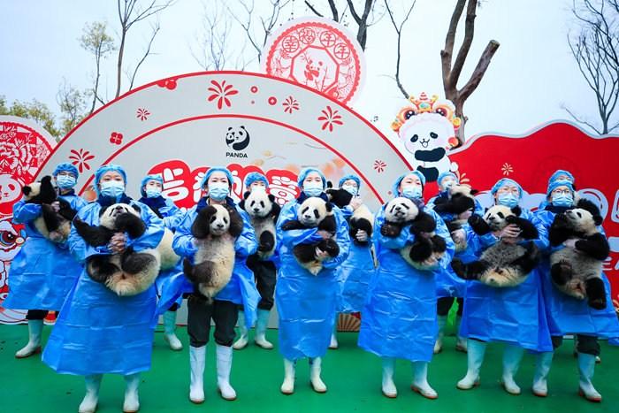 2024级熊猫宝宝集体拜年送祝福